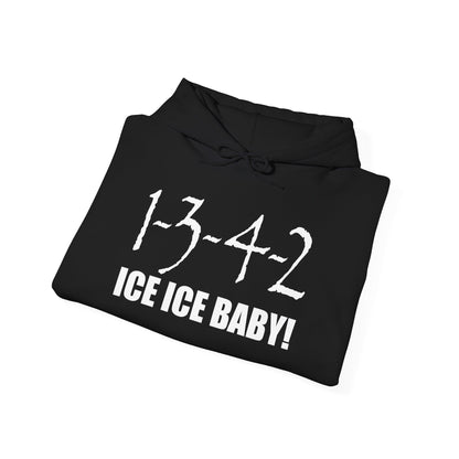 1-3-4-2 Ice Ice Baby 4-Cylinder Unisex Hoodie